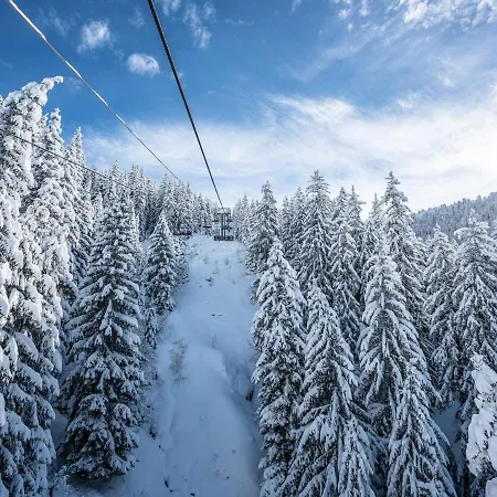 Appartamento Montvalezan-la Rosière, 1 Pièce, 4 Personnes - Fr-1-398-528